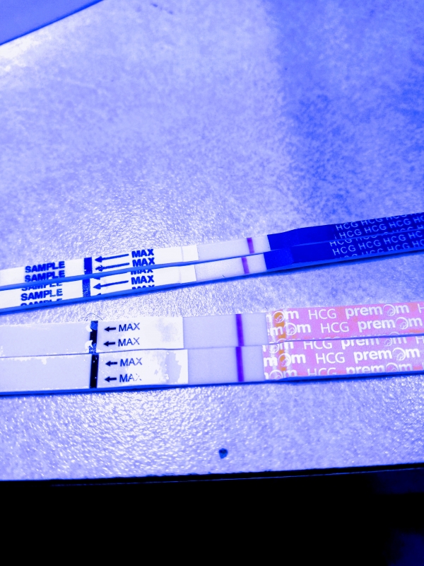 Home Pregnancy Test