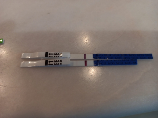 Home Pregnancy Test