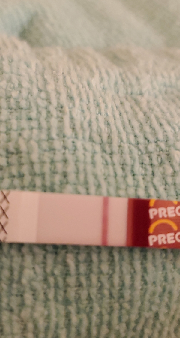 Home Pregnancy Test