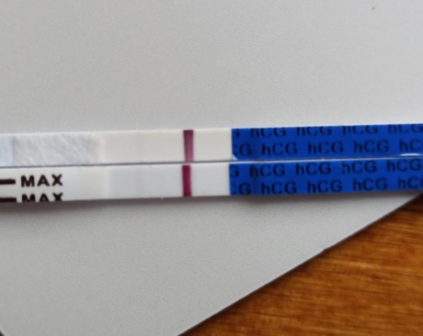 Home Pregnancy Test