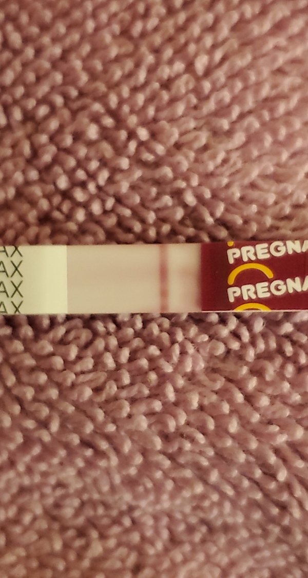 Home Pregnancy Test