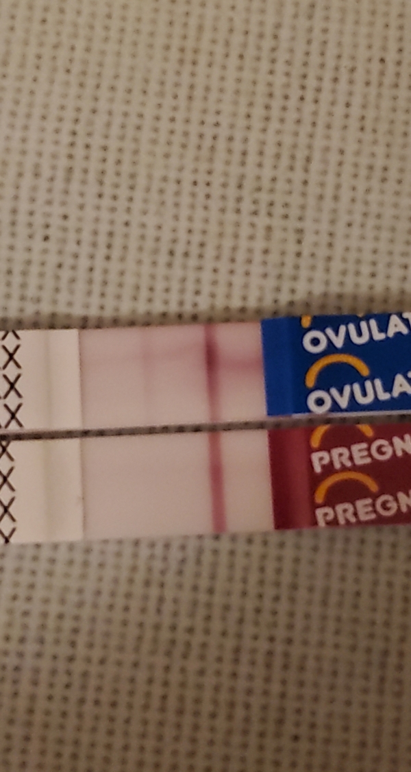 Home Pregnancy Test, 13 Days Post Ovulation, Cycle Day 28