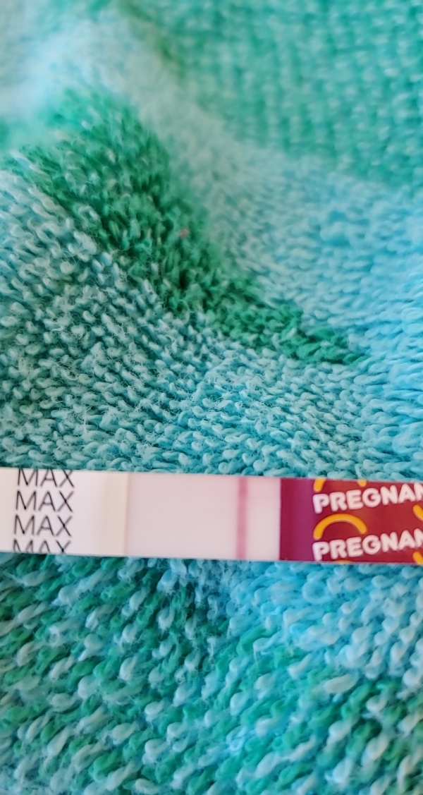 Home Pregnancy Test