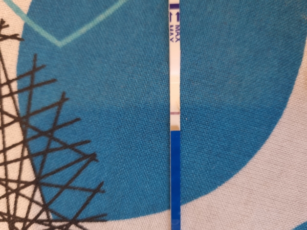 Generic Pregnancy Test, 11 Days Post Ovulation