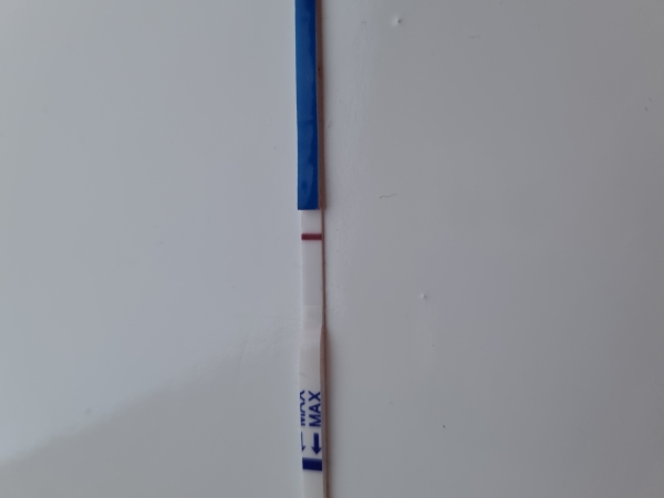 Generic Pregnancy Test, 12 Days Post Ovulation