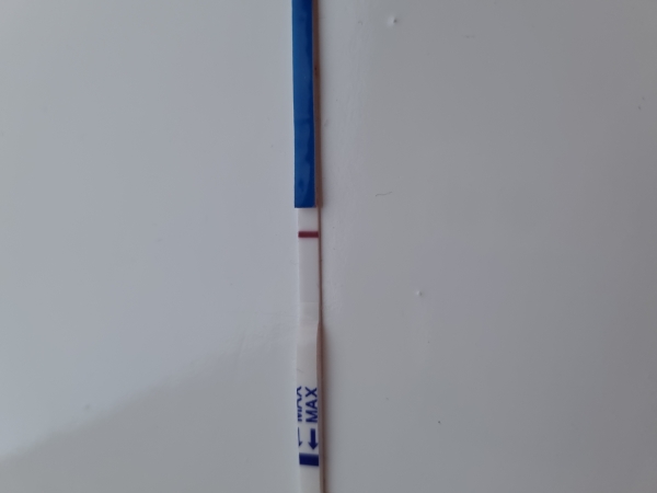 Generic Pregnancy Test, 12 Days Post Ovulation