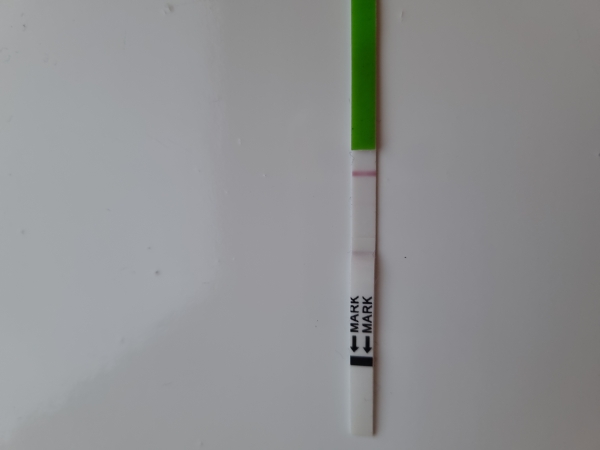 Home Pregnancy Test