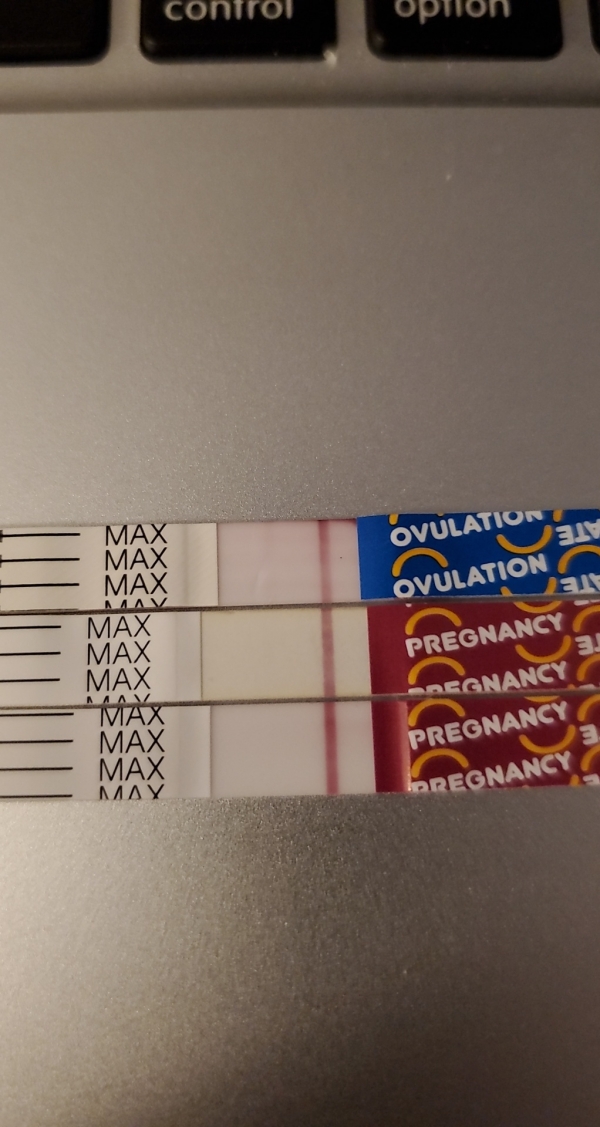 Home Pregnancy Test