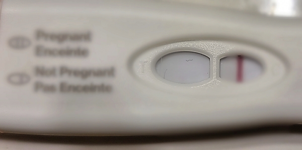 Home Pregnancy Test, Cycle Day 34