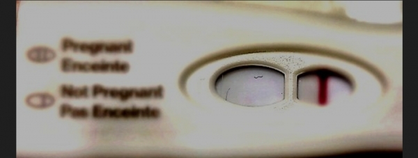 Home Pregnancy Test