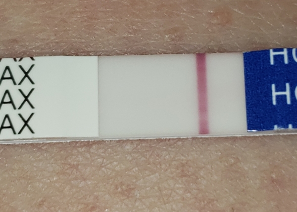 Home Pregnancy Test