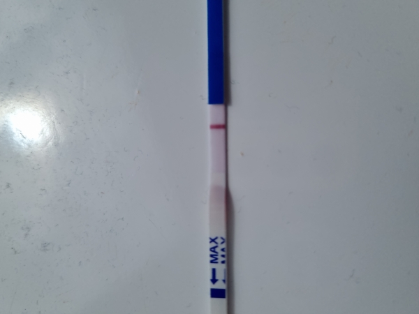 Home Pregnancy Test