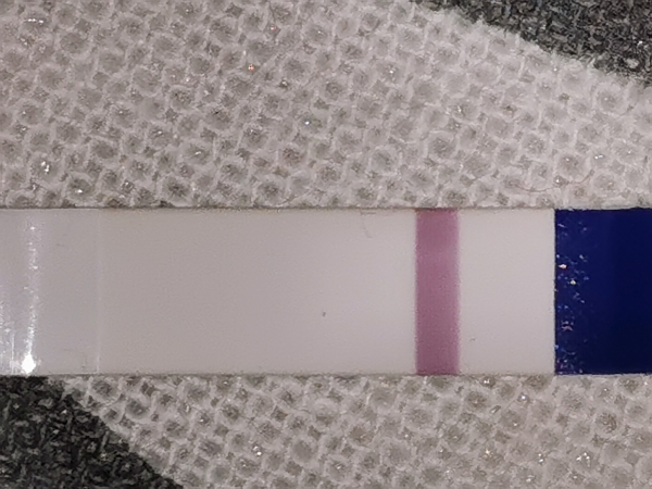 Home Pregnancy Test