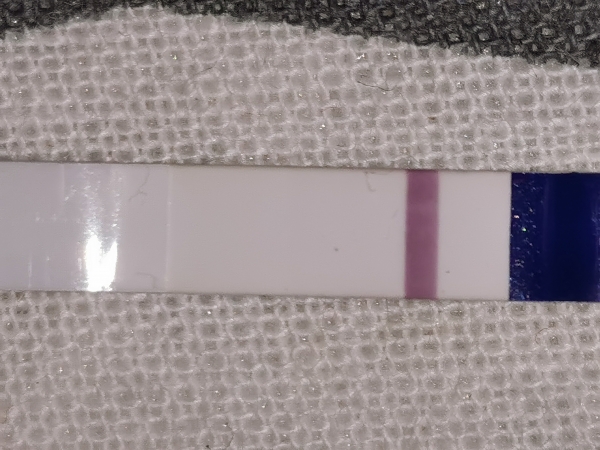 Home Pregnancy Test
