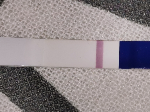 Home Pregnancy Test