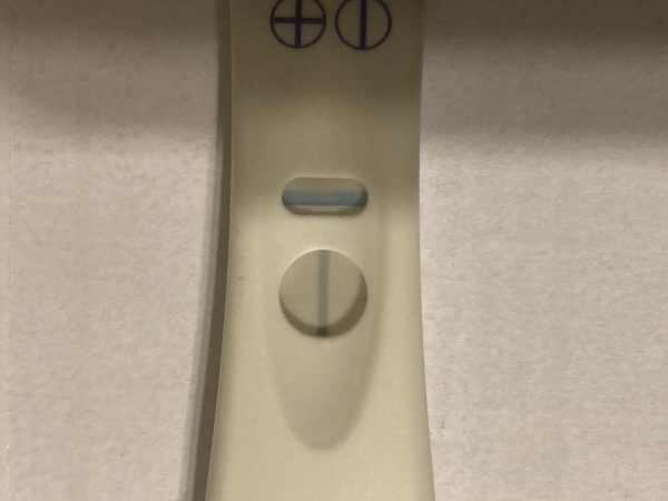 Home Pregnancy Test