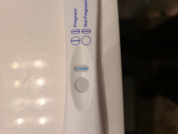 Generic Pregnancy Test