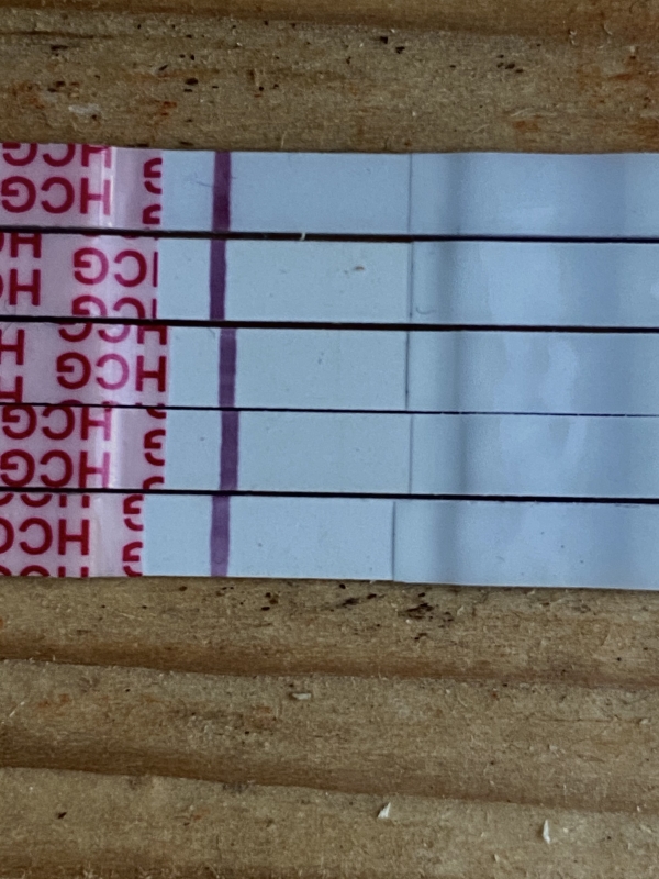 Wondfo Test Strips Pregnancy Test, 6 Days Post Ovulation