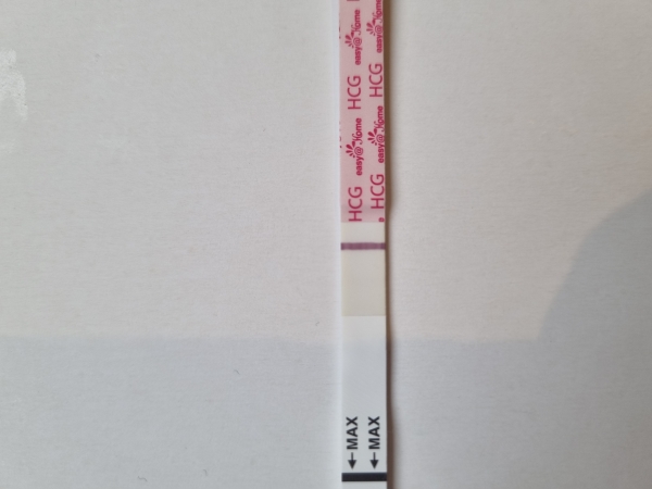 Home Pregnancy Test