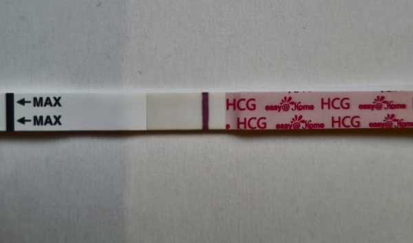 Home Pregnancy Test