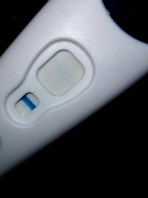 Home Pregnancy Test