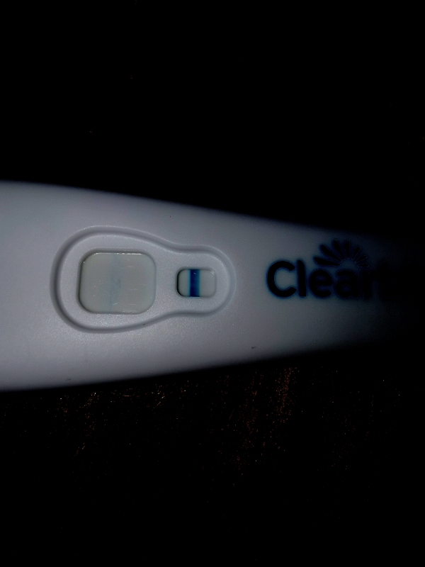 Home Pregnancy Test