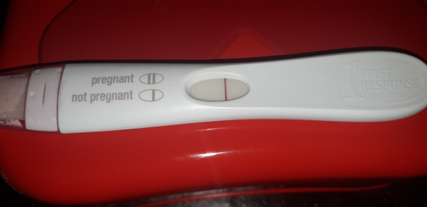 First Response Early Pregnancy Test, 12 Days Post Ovulation