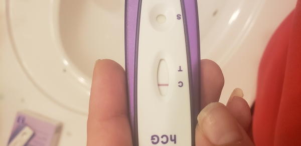 Home Pregnancy Test