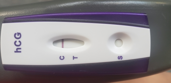 Home Pregnancy Test