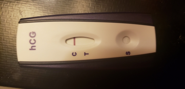 Home Pregnancy Test