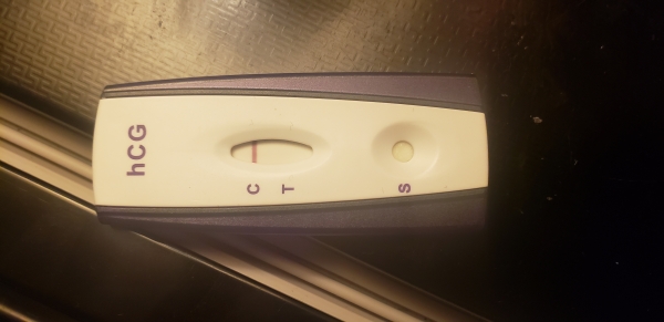 Home Pregnancy Test