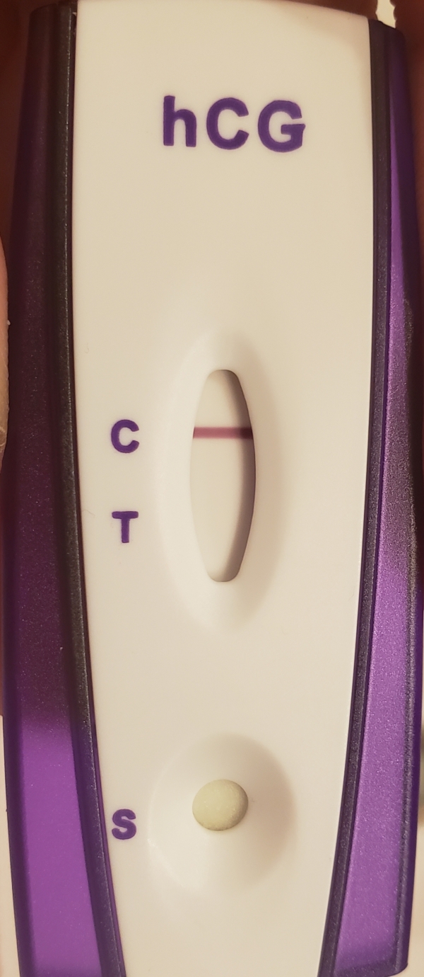 Home Pregnancy Test