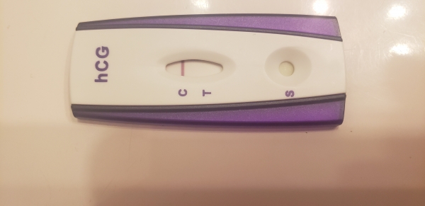 Home Pregnancy Test