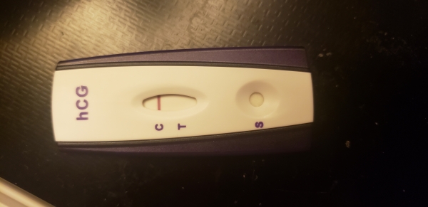 Home Pregnancy Test