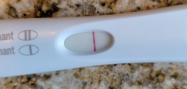 Home Pregnancy Test