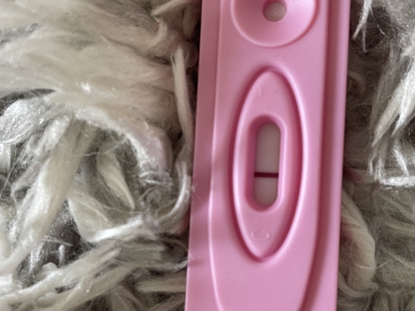Accu-Clear Pregnancy Test, 21 Days Post Ovulation, Cycle Day 26