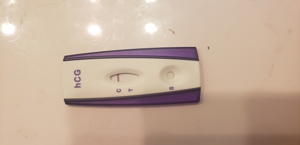 Home Pregnancy Test