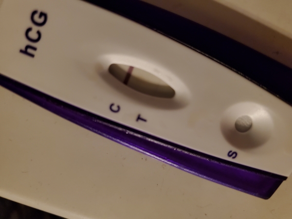 Home Pregnancy Test