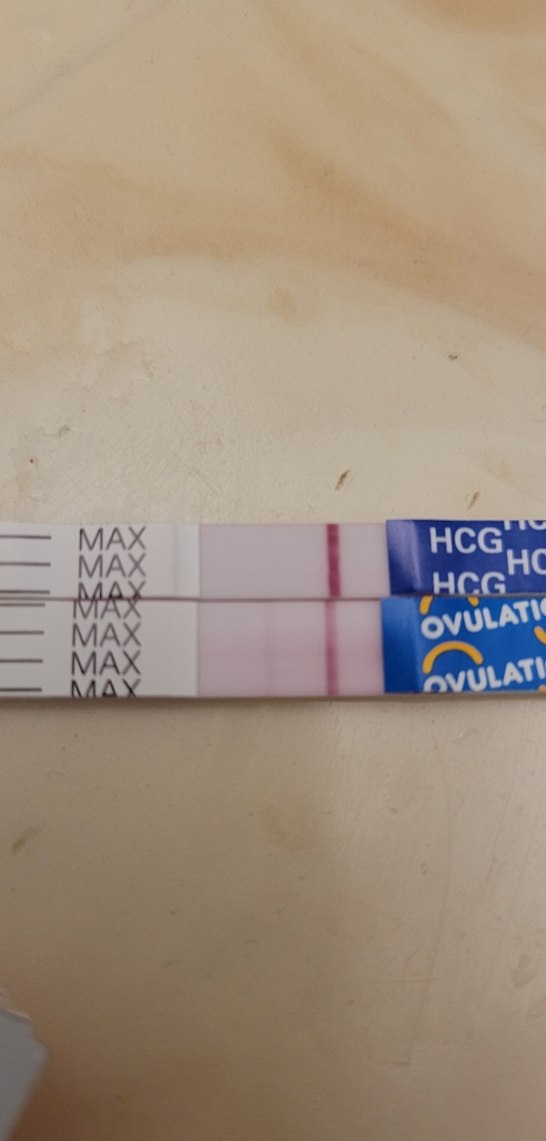 Home Pregnancy Test