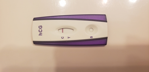 Home Pregnancy Test