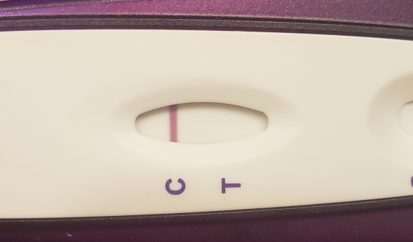 Home Pregnancy Test