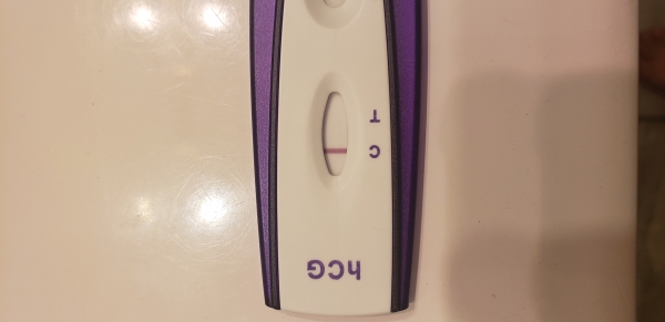 Home Pregnancy Test