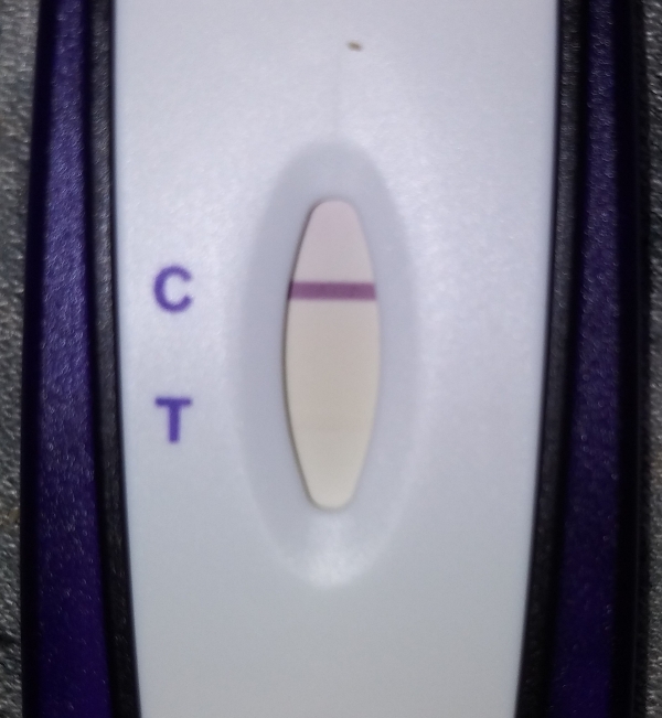 Equate One Step Pregnancy Test