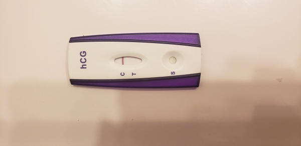Home Pregnancy Test