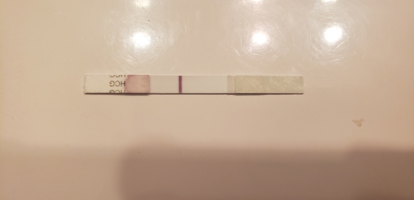 Home Pregnancy Test