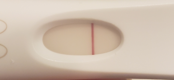 Home Pregnancy Test