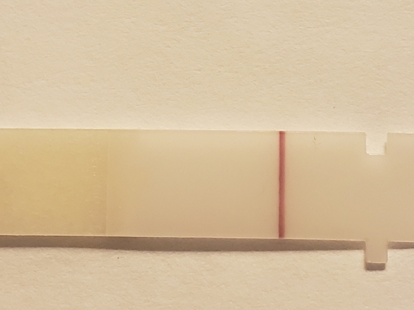 Home Pregnancy Test