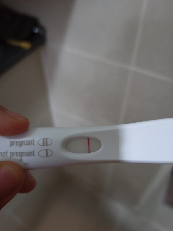 Home Pregnancy Test