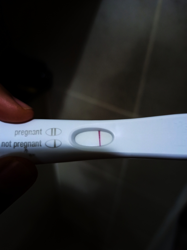 Home Pregnancy Test