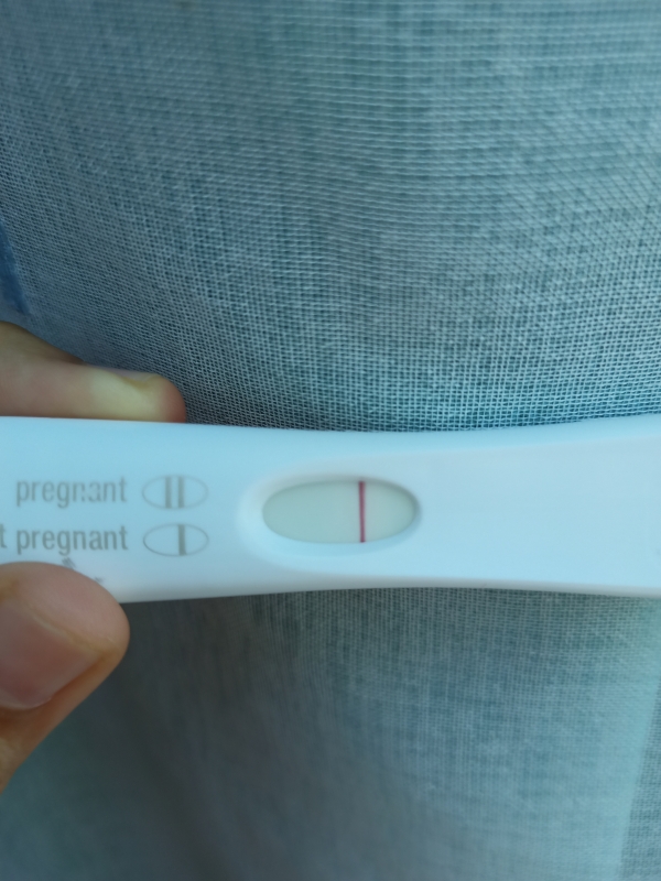 Home Pregnancy Test